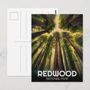 Redwood national state park, Coastal California Postcard