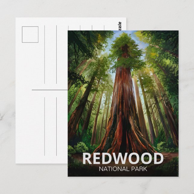 Redwood national state park, Coastal California  Postcard (Front/Back)