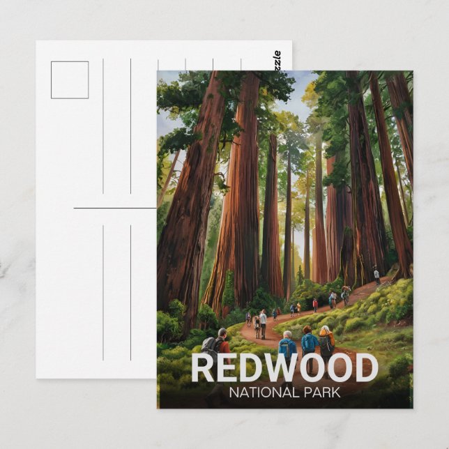 Redwood national state park, Coastal California  Postcard (Front/Back)