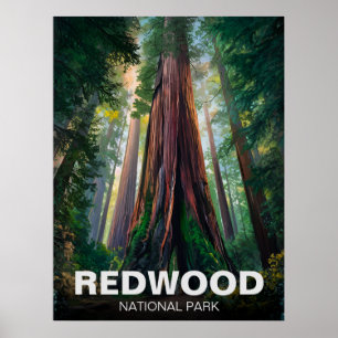 Redwood national state park, Coastal California Poster