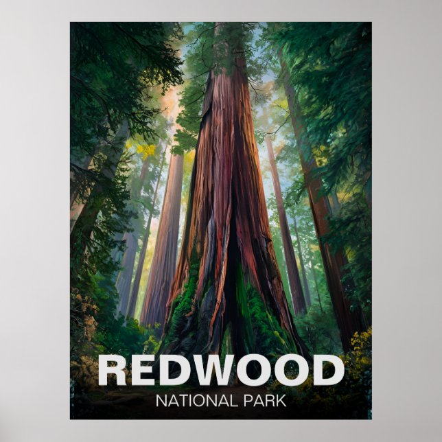 Redwood national state park, Coastal California  Poster (Front)