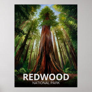 Redwood national state park, Coastal California Poster