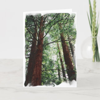 Redwood Sky Card