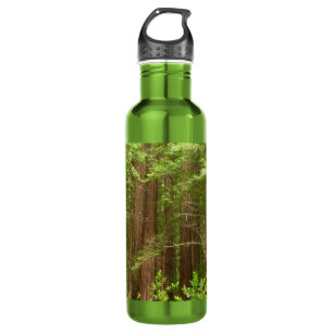 Redwood Trees at Muir Woods National Monument 710 Ml Water Bottle