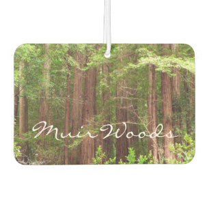 Redwood Trees at Muir Woods National Monument Car Air Freshener
