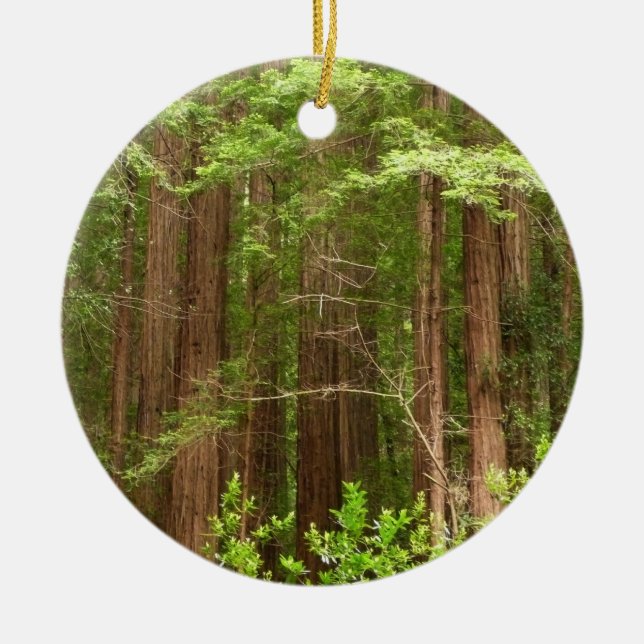 Redwood Trees at Muir Woods National Monument Ceramic Ornament (Front)