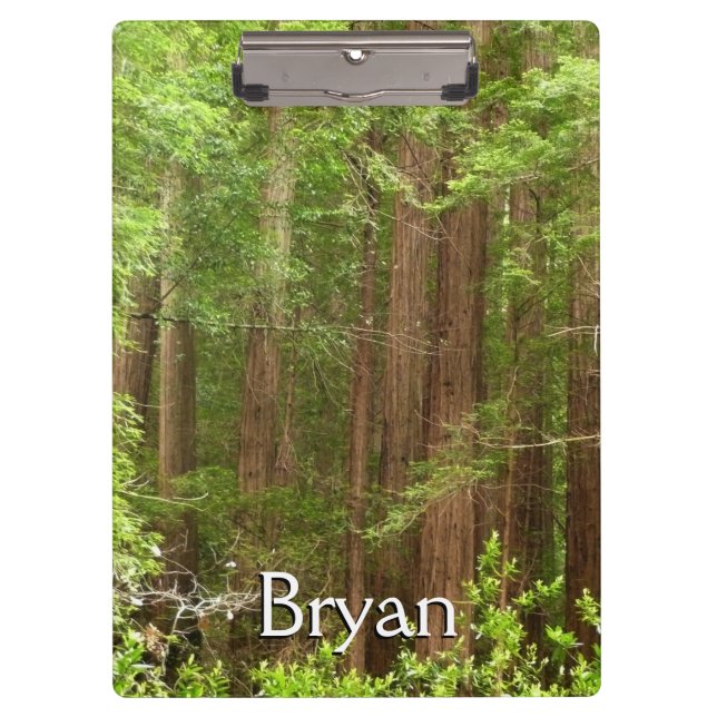 Redwood Trees at Muir Woods National Monument Clipboard (Front)