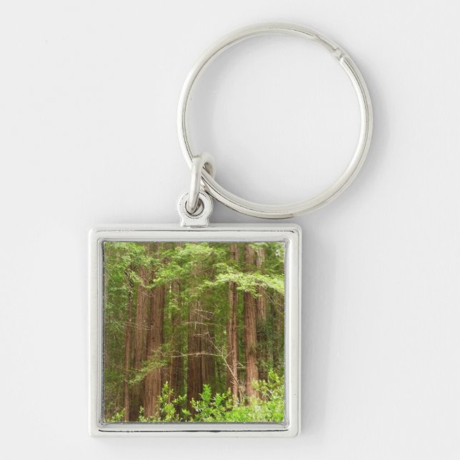 Redwood Trees at Muir Woods National Monument Key Ring (Front)