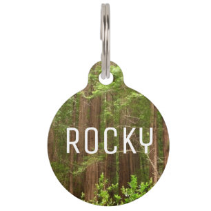 Redwood Trees at Muir Woods National Monument Pet Tag