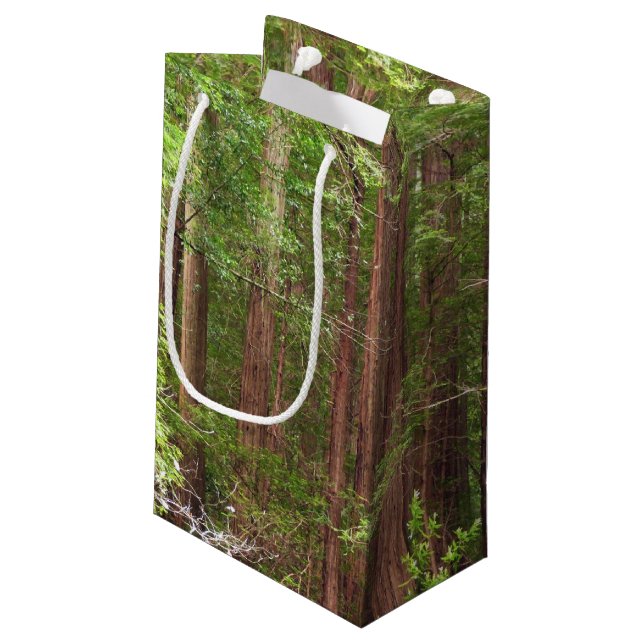 Redwood Trees at Muir Woods National Monument Small Gift Bag (Back Angled)