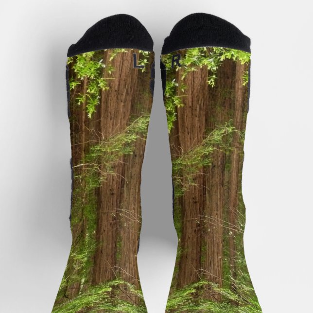 Redwood Trees at Muir Woods National Monument Socks (Top)