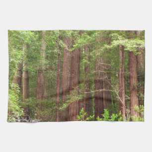 Redwood Trees at Muir Woods National Monument Tea Towel