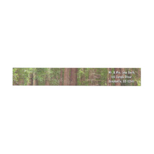 Redwood Trees at Muir Woods National Monument Wrap Around Label