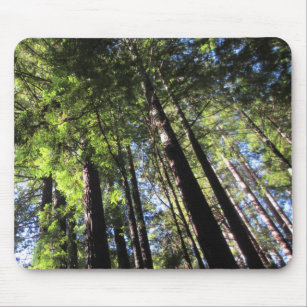 Redwood Trees from Below Mouse Pad