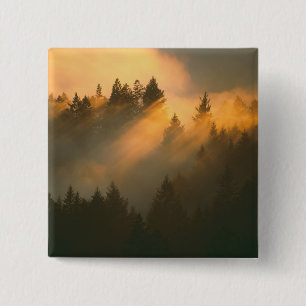 Redwood trees in coastal fog, Marin County, 15 Cm Square Badge
