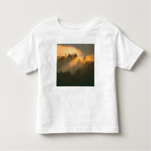 Redwood trees in coastal fog, Marin County, Toddler T-Shirt
