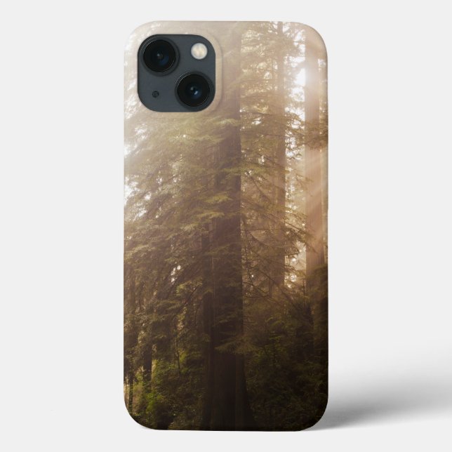 Redwood Trees in Morning Fog with Sunrays Case-Mate iPhone Case (Back)