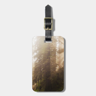 Redwood Trees in Morning Fog with Sunrays Luggage Tag