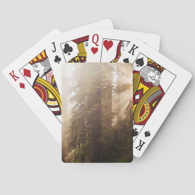 Redwood Trees in Morning Fog with Sunrays Playing Cards (Back)