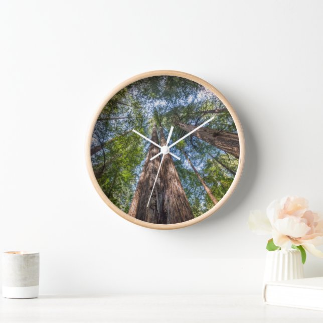 Redwood Trees | Marin County, California Clock (Home)