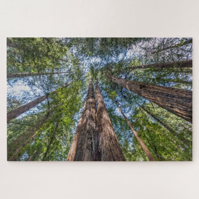 Redwood Trees | Marin County, California Jigsaw Puzzle (Horizontal)