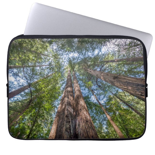 Redwood Trees | Marin County, California Laptop Sleeve (Front)