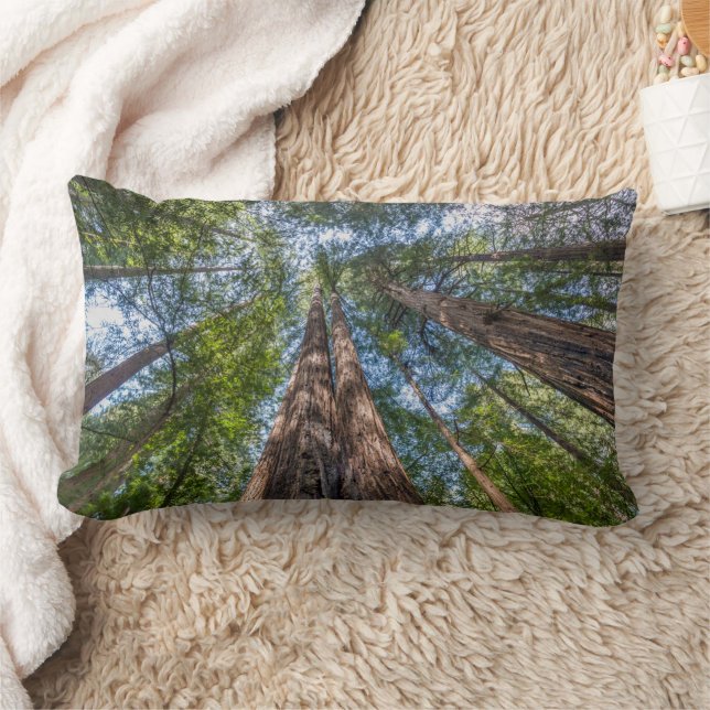 Redwood Trees | Marin County, California Lumbar Cushion (Blanket)