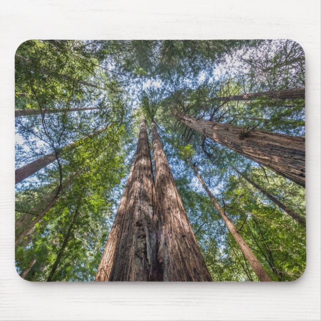 Redwood Trees | Marin County, California Mouse Pad (Front)