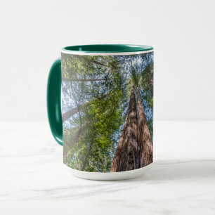 Redwood Trees   Marin County, California Mug