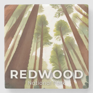 Redwood Trees   National Park Watercolor Travel Stone Coaster