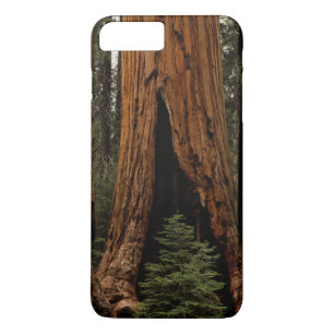 Redwood Trees, Sequoia National Park. iPhone 8 Plus/7 Plus Case