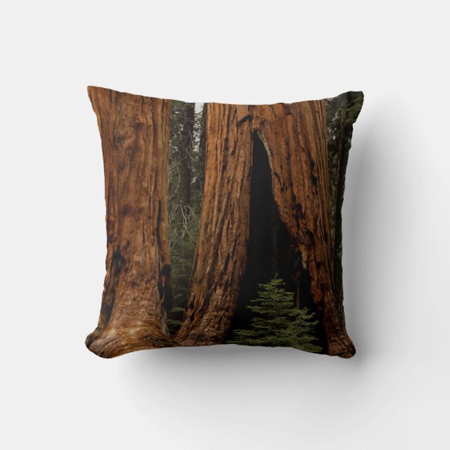 Redwood Trees, Sequoia National Park. Cushion (Front)