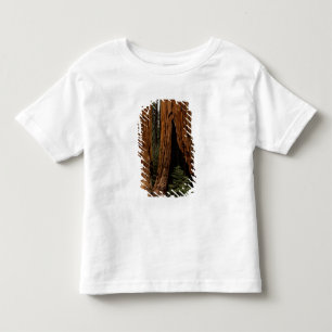 Redwood Trees, Sequoia National Park. Toddler T-Shirt