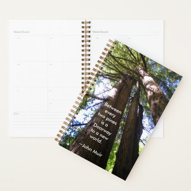 Redwood Trees with Muir Quote Planner (Display)