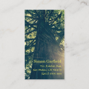 Redwood with Sunbeams Business Cards