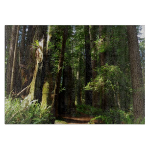 Redwoods and Ferns at Redwood National Park Cutting Board