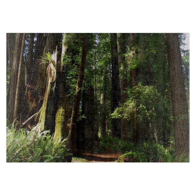 Redwoods and Ferns at Redwood National Park Cutting Board (Front)