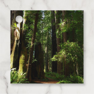 Redwoods and Ferns at Redwood National Park Favour Tags