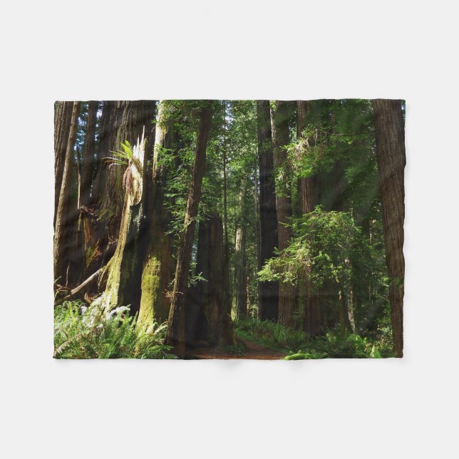 Redwoods and Ferns at Redwood National Park Fleece Blanket (Front (Horizontal))