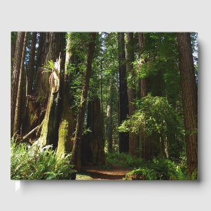 Redwoods and Ferns at Redwood National Park Guest Book
