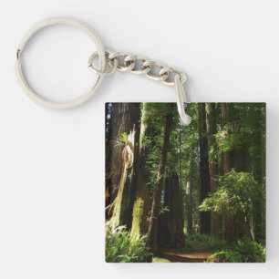 Redwoods and Ferns at Redwood National Park Key Ring