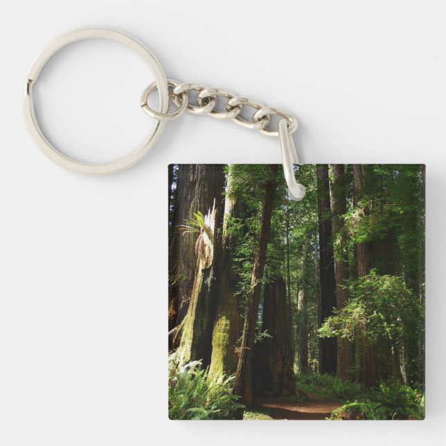Redwoods and Ferns at Redwood National Park Key Ring (Front)