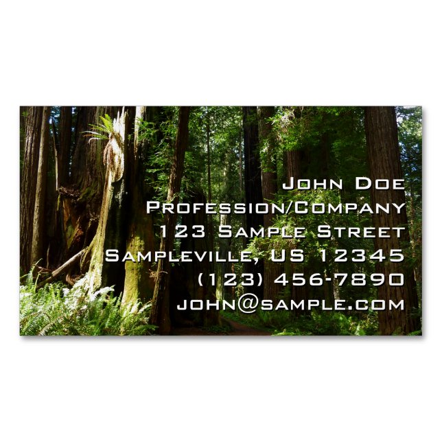 Redwoods and Ferns at Redwood National Park Magnetic Business Card (Front)