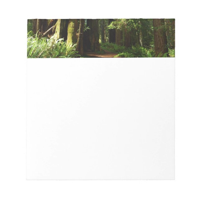 Redwoods and Ferns at Redwood National Park Notepad (Front)