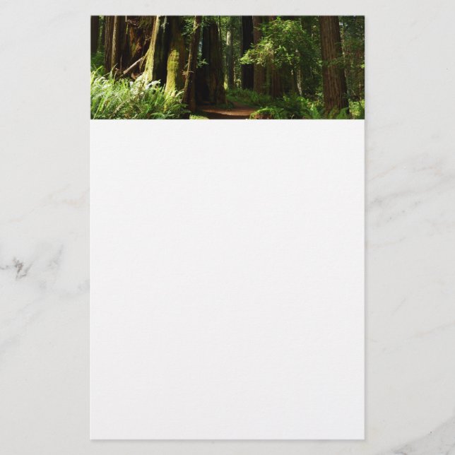 Redwoods and Ferns at Redwood National Park Stationery (Front)