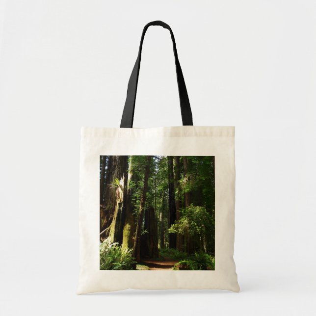 Redwoods and Ferns at Redwood National Park Tote Bag (Front)