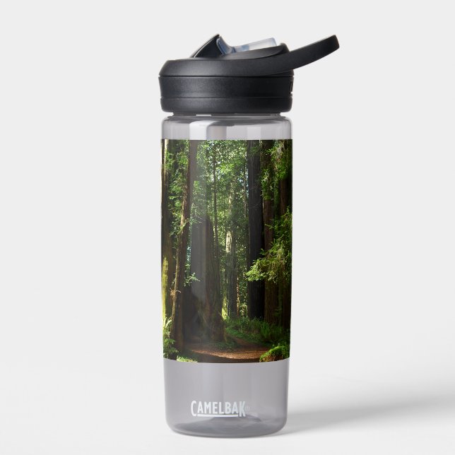Redwoods and Ferns at Redwood National Park Water Bottle (Left)