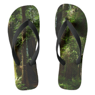 Redwoods and Ferns Thongs