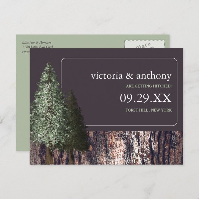 Redwoods & Bark, Rustic Wedding Save the Date Announcement Postcard (Front/Back)
