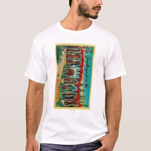 Redwoods, California - Large Letter Scenes T-Shirt (Front)